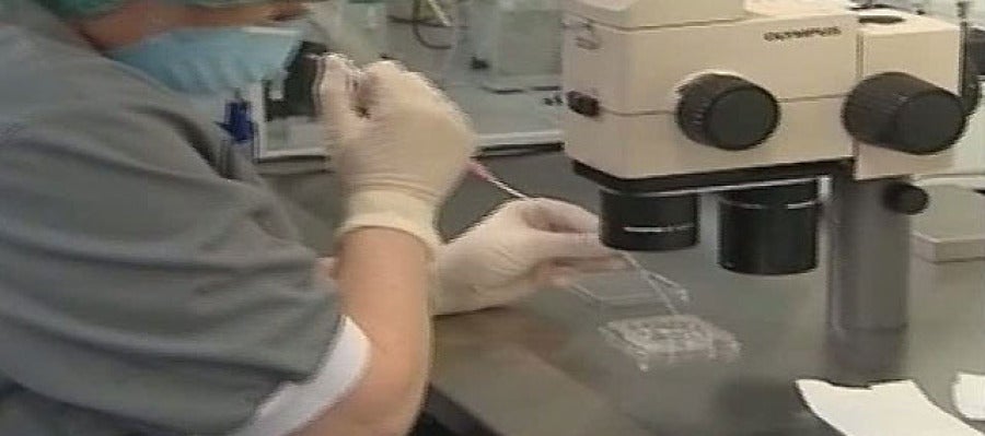 Selección de embriones para fecundación in vitro Selección de embriones para fecundación in vitro