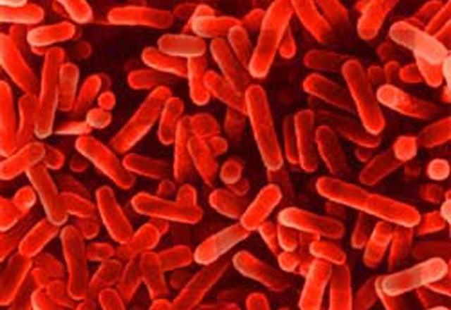 Más de uno Alcalá 12/11/2018 Más de uno Alcalá 12/11/2018