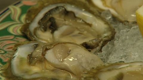 Ostras de la R&iacute;a de Vigo