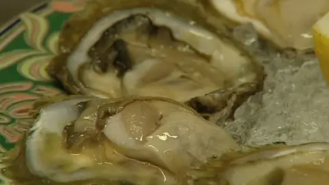 Ostras de la Ría de Vigo Ostras de la Ría de Vigo