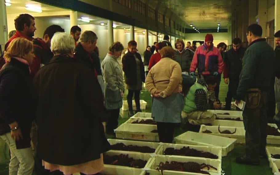 Noticias Mediodía Vigo 31/10/2017 Noticias Mediodía Vigo 31/10/2017