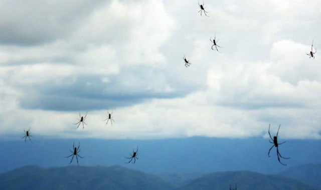El Círculo secreto: Objetos misteriosos caen del cielo El Círculo secreto: Objetos misteriosos caen del cielo