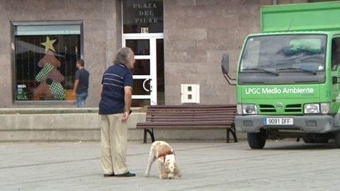 Proh&iacute;ben finalmente pasear perros en Las Canteras