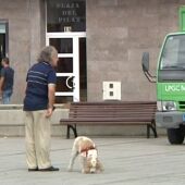 Prohíben finalmente pasear perros en Las Canteras
