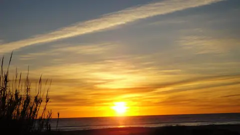 Nuria Tejonero, Tarifa Nuria Tejonero, Tarifa