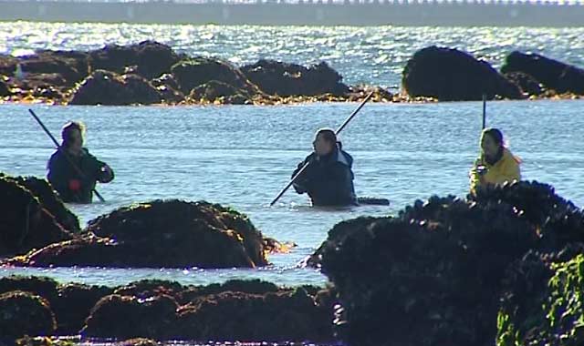 María Juncal, mariscadora: "No nos reconocen las enfermedades de los huesos como dolencia profesional" María Juncal, mariscadora: "No nos reconocen las enfermedades de los huesos como dolencia profesional"