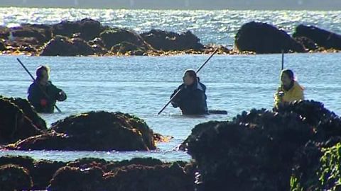 Tres mujeres trabajan como mariscadoras en Pontevedra