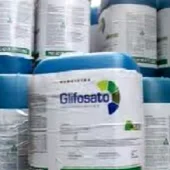 Denuncian el uso de un pesticida muy peligroso para la salud Denuncian el uso de un pesticida muy peligroso para la salud
