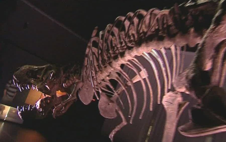 La Brújula de la ciencia: Los dinosaurios españoles La Brújula de la ciencia: Los dinosaurios españoles