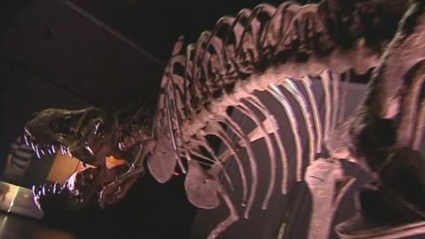 Museo de dinosaurios en Teruel