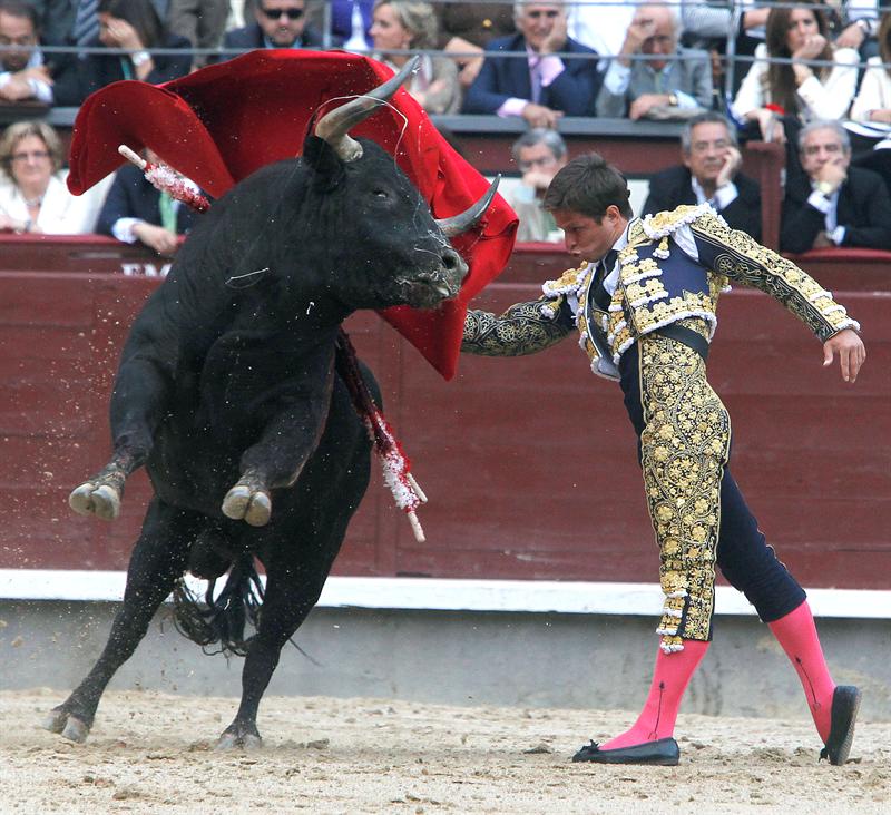 Toros con Pedro Javier Cáceres: Éxito artístico en Valladolid Toros con Pedro Javier Cáceres: Éxito artístico en Valladolid
