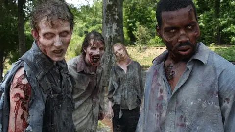 The Walking Dead The Walking Dead