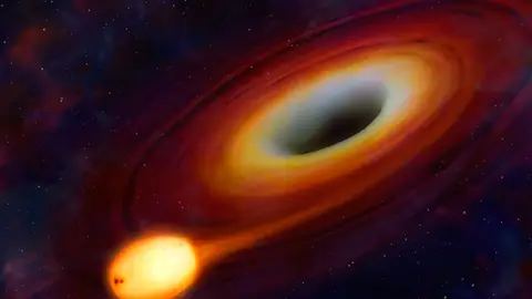 Una estrella del tamaño del Sol cae en un agujero negro Una estrella del tamaño del Sol cae en un agujero negro