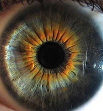 Gijón en la Onda 08/10/2015 con Guillermo Figueroa Gijón en la Onda 08/10/2015 con Guillermo Figueroa