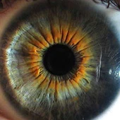 El iris de un ojo El iris de un ojo