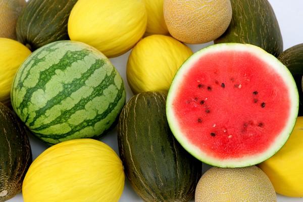 La Mancha afronta la recta final para la campaña del melón y sandía La Mancha afronta la recta final para la campaña del melón y sandía