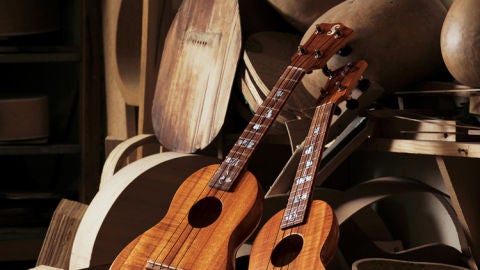 La guitarra espa&ntilde;ola inspira la gran mayor&iacute;a de espect&aacute;culos.