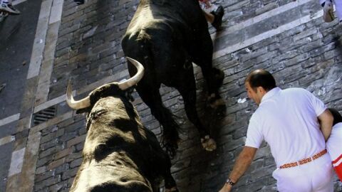 Los toros de Cebada Gago corren por las calles pamplonesas durante el segundo encierro.