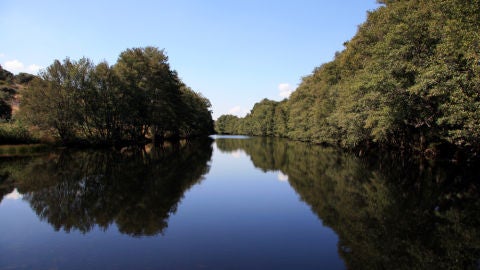 Rio Negro