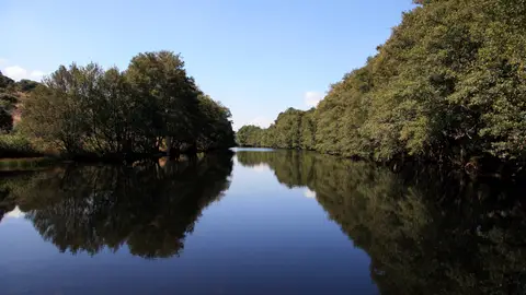 Rio Negro Rio Negro
