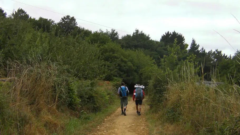 Peregrinos en el Camino de Santiago Peregrinos en el Camino de Santiago
