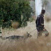 Un agente con un perro de la unidad canina de la Policía Nacional