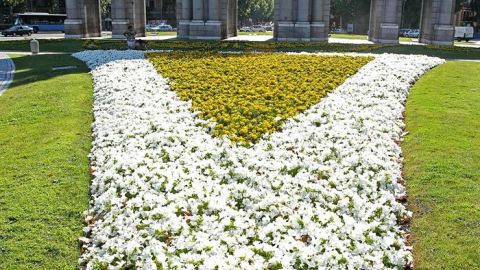 Las flores se ti&ntilde;en de colores papales