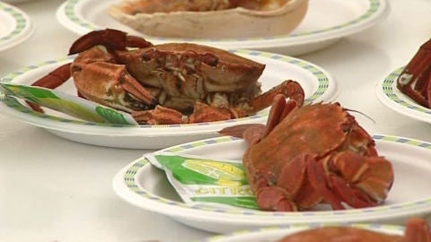 Arranca la Fiesta del Marisco en Galicia