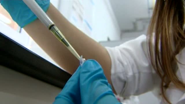 Más de 50 personas intoxicadas por salmonelosis en Palma de Mallorca Más de 50 personas intoxicadas por salmonelosis en Palma de Mallorca