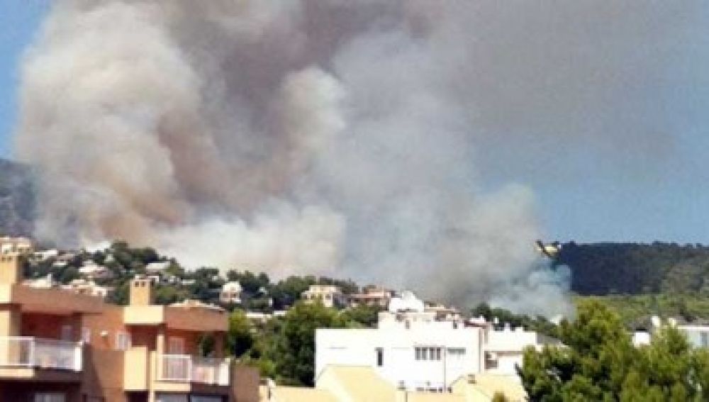 El fuego arrasa 20 hectáreas de superficie en Calvià El fuego arrasa 20 hectáreas de superficie en Calvià