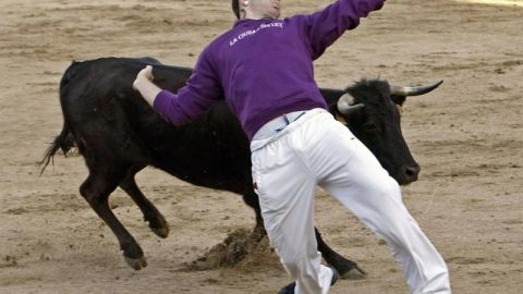 Un joven corta a una vaquilla