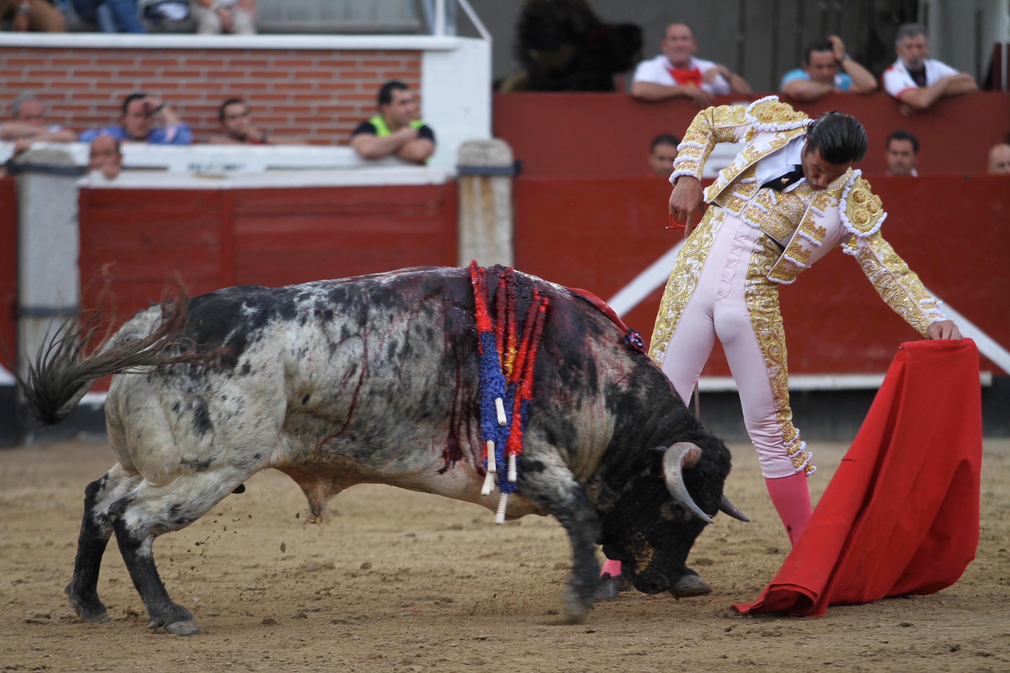 Toros con Pedro Javier Cáceres: El Pleno pide que haya toros en la Semana Grande Toros con Pedro Javier Cáceres: El Pleno pide que haya toros en la Semana Grande
