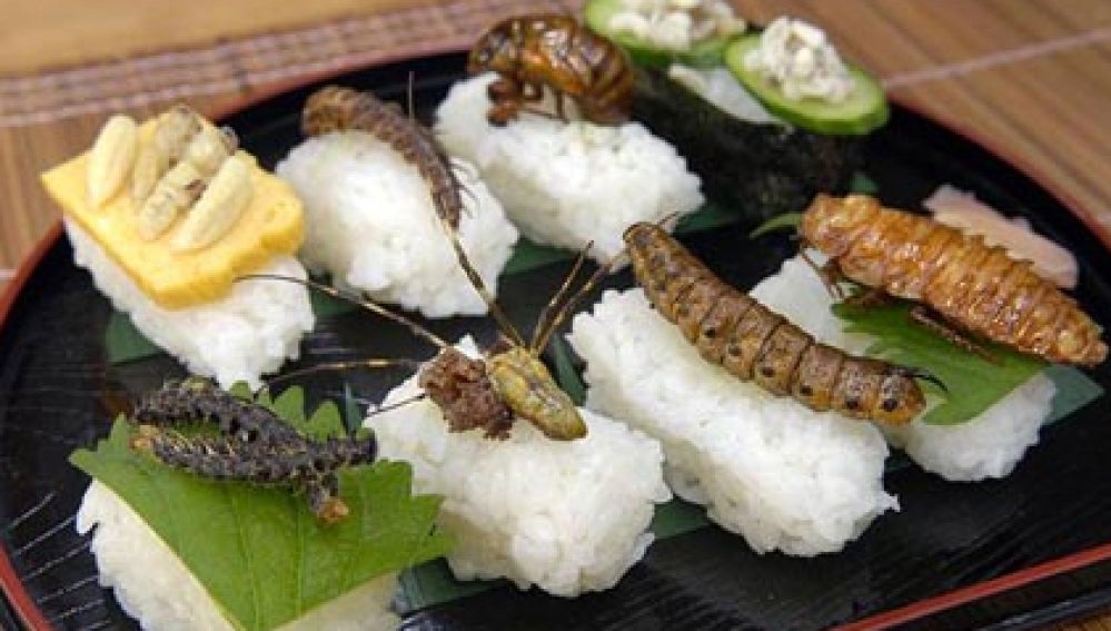 Sushi con insectos