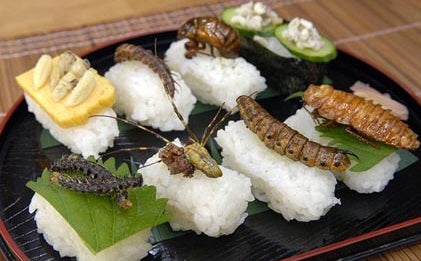 El Gabinete: ¿Qué comeremos en el futuro? El Gabinete: ¿Qué comeremos en el futuro?