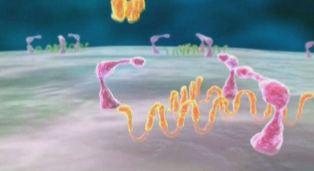 La Brújula de la Ciencia: El virus del SIDA La Brújula de la Ciencia: El virus del SIDA