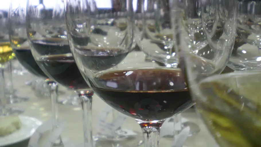 Añadas excelentes de vinos de Rioja: la historia de una pasión Añadas excelentes de vinos de Rioja: la historia de una pasión