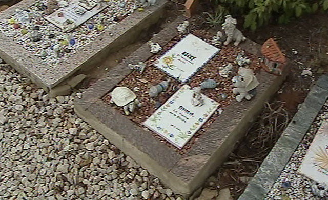 Entrevista primer cementerio para mascotas de la Región en Cartagena - "Cartagena en la Onda" 16/08/19 Entrevista primer cementerio para mascotas de la Región en Cartagena - "Cartagena en la Onda" 16/08/19
