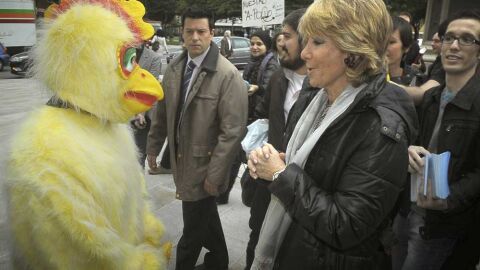 Esperanza Aguirre hablando con un pollo