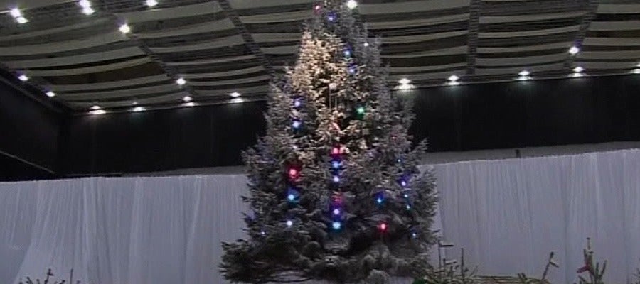 Un árbol de navidad gigante Un árbol de navidad gigante