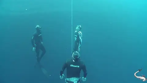 Apnea o buceo libre Apnea o buceo libre