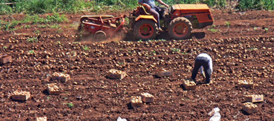 Imagen de archivo: agricultores españoles. Imagen de archivo: agricultores españoles.