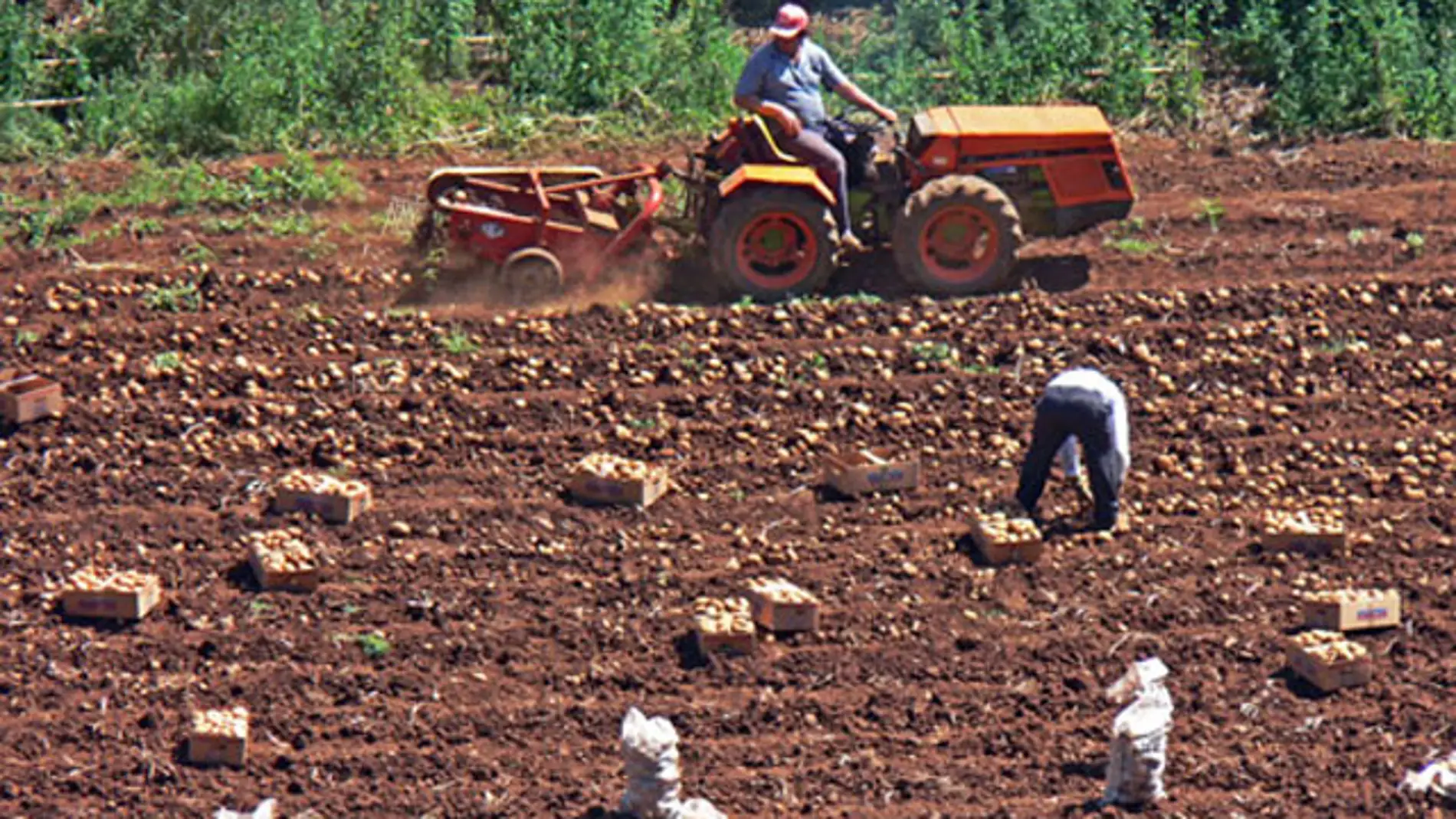 Imagen de archivo: agricultores españoles.