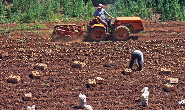 Pequeños agricultores y ganaderos piden precios justos por su trabajo Pequeños agricultores y ganaderos piden precios justos por su trabajo