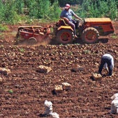 Trabajadores agrícolas.