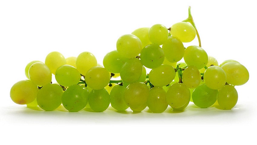 Vinos, bodegas y aperturas en México Vinos, bodegas y aperturas en México