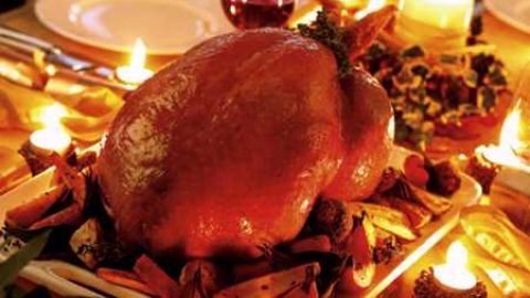 Pavo navide&ntilde;o