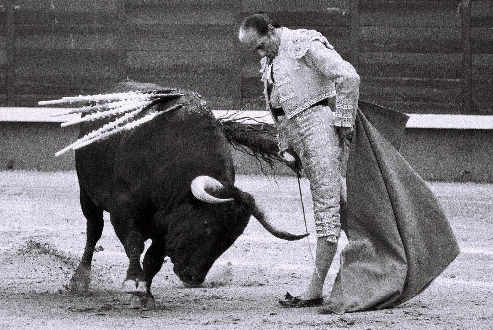Mesa de Redacción: ¿Habrá en España una especialidad de tauromaquia en la Formación Profesional? Mesa de Redacción: ¿Habrá en España una especialidad de tauromaquia en la Formación Profesional?