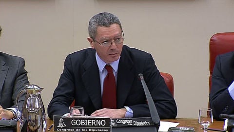 Gallard&oacute;n anuncia la reforma de la Ley del Aborto