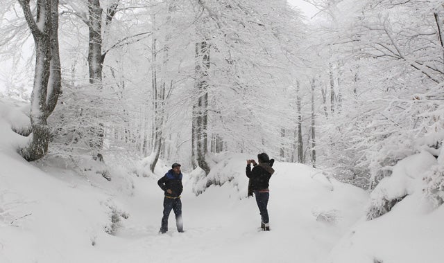 Un total de 50 provincias están en alerta por fuertes nevadas, viento y oleaje Un total de 50 provincias están en alerta por fuertes nevadas, viento y oleaje