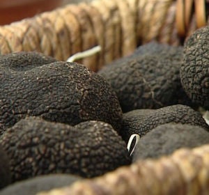 Trufas negras Trufas negras